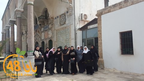 re7la shamal tamer (11).jpg